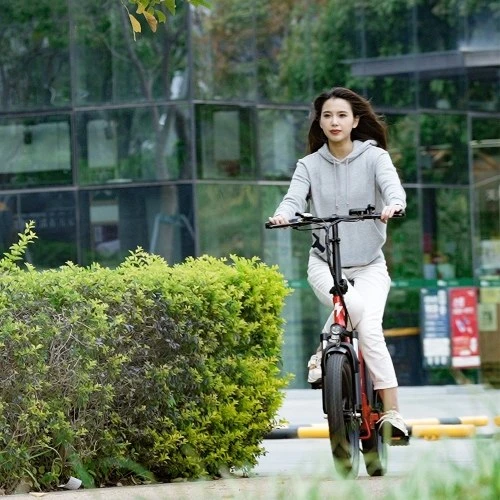 FAFREES F20 20-inch Fat Tire 250W Brushless Motor Folding Electric Bike 120km Power Assistance Range - Image 16