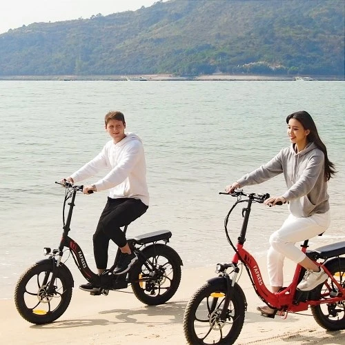 FAFREES F20 20-inch Fat Tire 250W Brushless Motor Folding Electric Bike 120km Power Assistance Range - Image 17